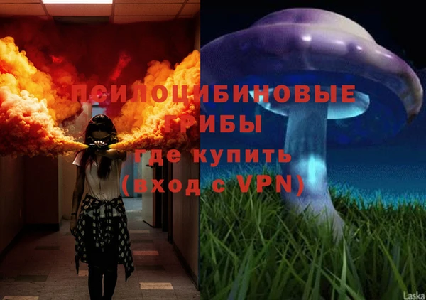 ГАЛЛЮЦИНОГЕННЫЕ ГРИБЫ Верхний Тагил
