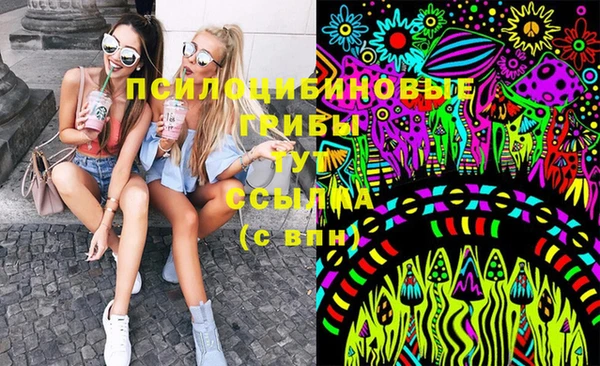 ГАЛЛЮЦИНОГЕННЫЕ ГРИБЫ Верхний Тагил