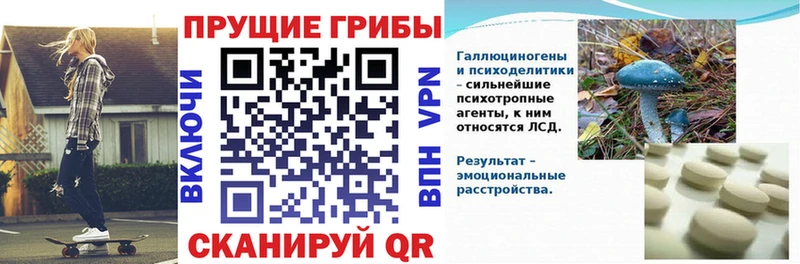 Псилоцибиновые грибы MAGIC MUSHROOMS  Купить где  Кукмор 